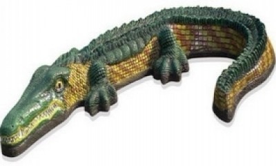 Крокодил (3.32)